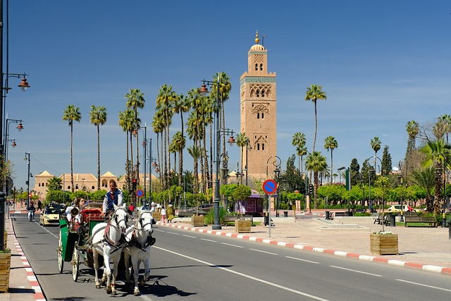 Marrakech The Red City of Souks, Palaces, and Magic