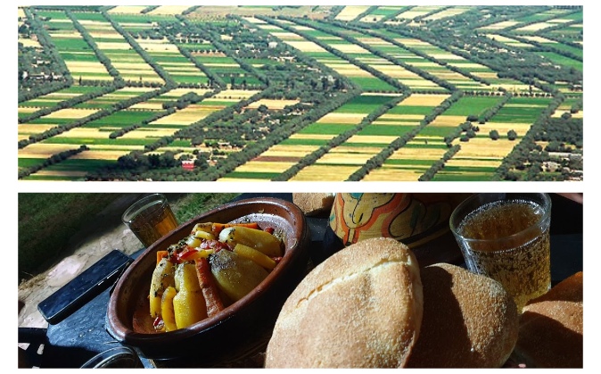 Beni Mellal Agricultural Excellence And Culinary Delights