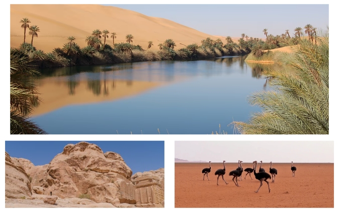 Pictures Of Nature And Unique Ecosystems
