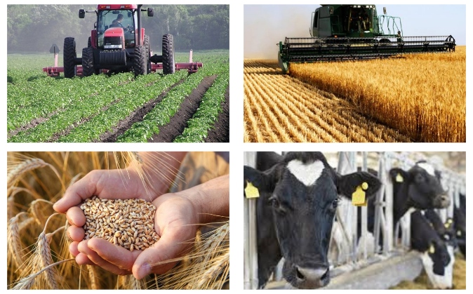 Agricultural Heritage And Rural Connections