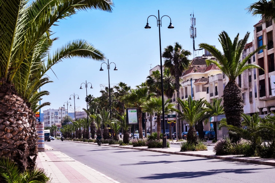 Day Trips And Regional Exploration 1