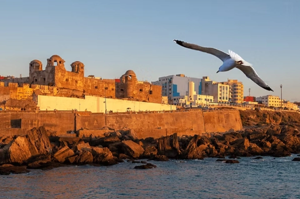 Day Trips From Larache
