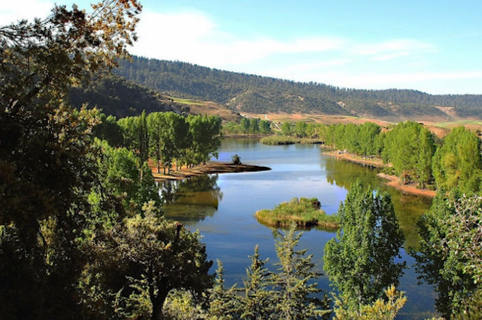 Ifrane National Park