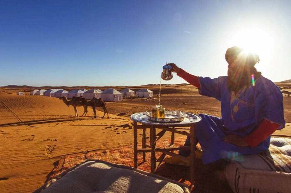 Tea Culture And Hospitality