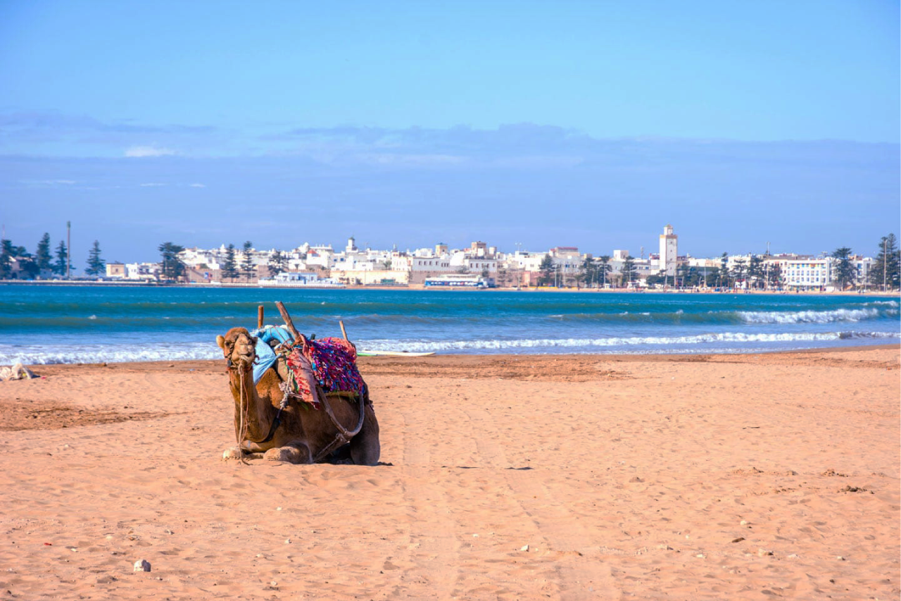 Essaouira Beach